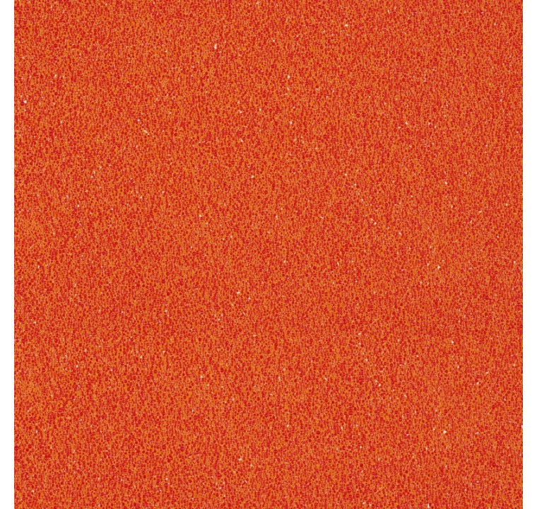 PROTECH 2 MM ORANGE
